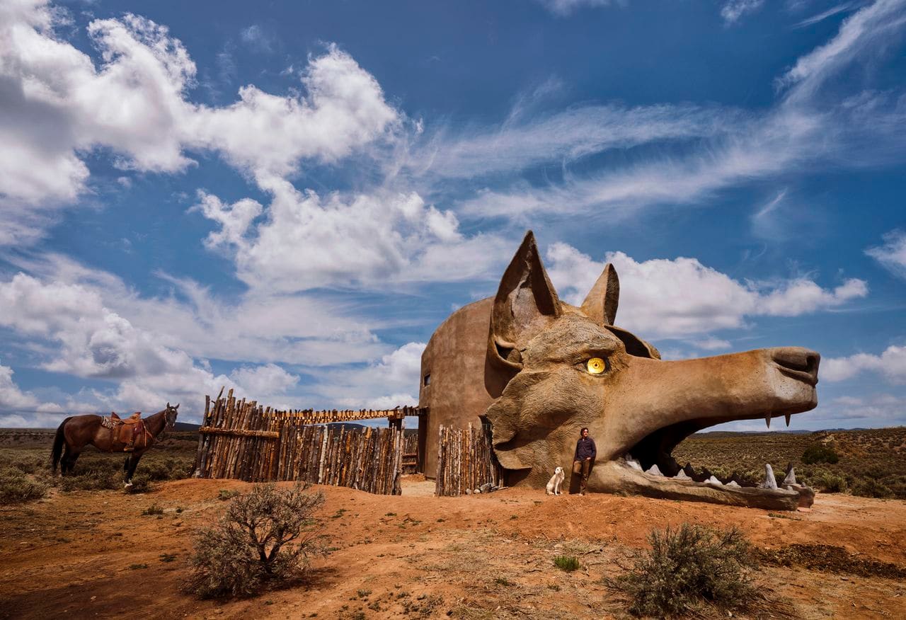 When Concrete Becomes Carnivore: Building a Desert Home Inside a Coyote's Skull