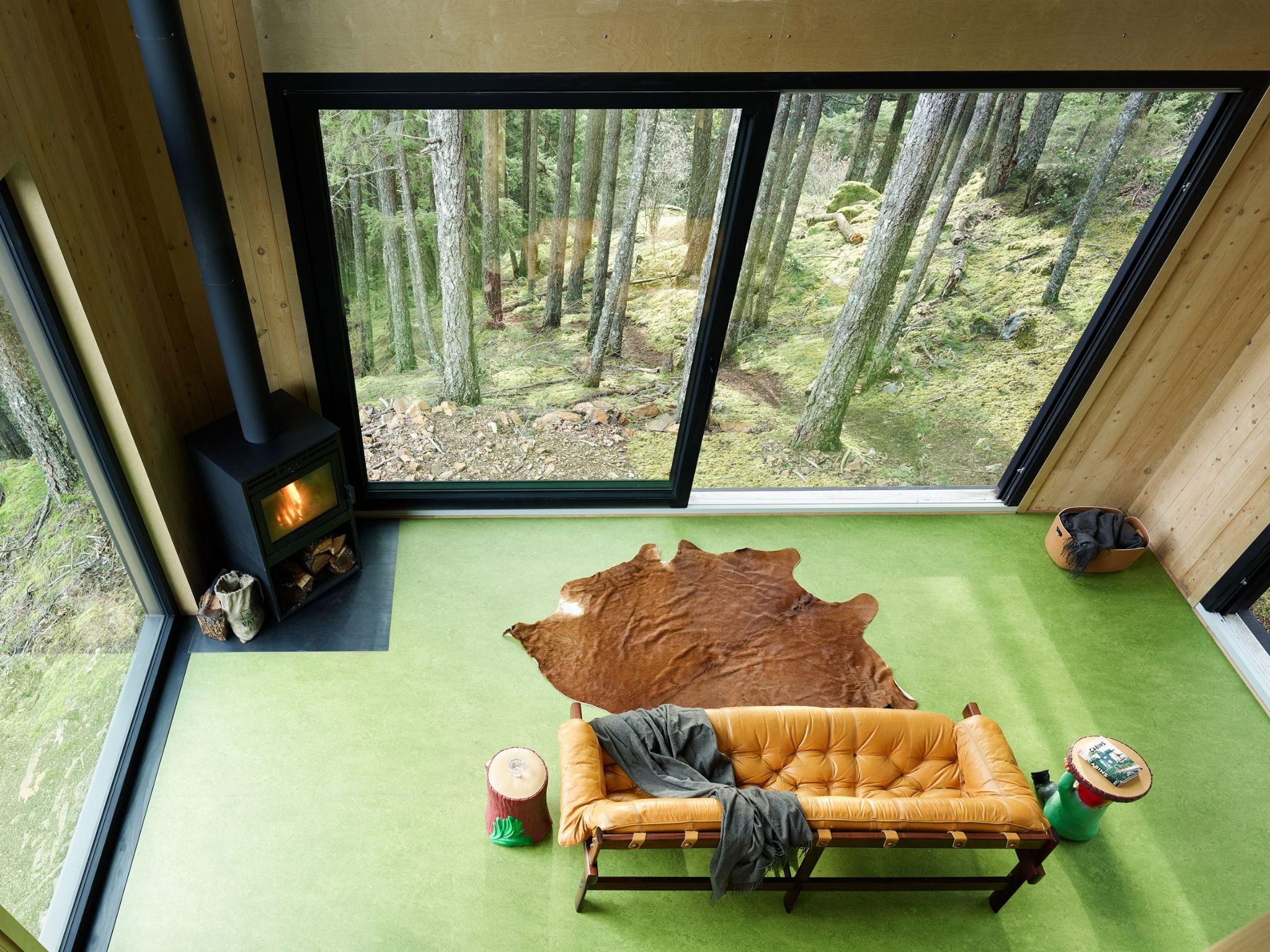 The Nest: Daria Sheina Studio’s Solar-Powered Perch in the British Columbia Canopy