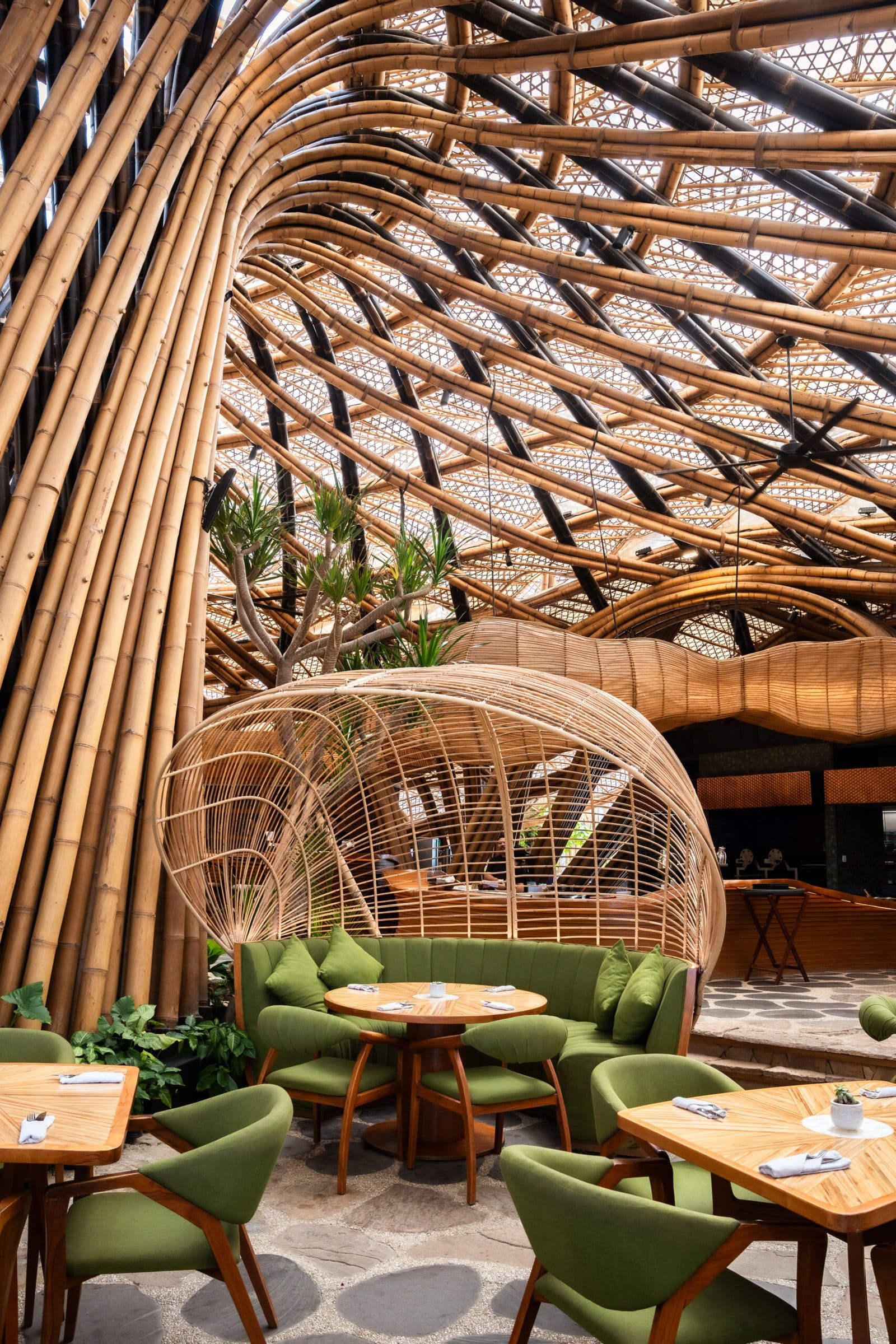 Luna Beach Club: A Vortex Above, A Cave Below