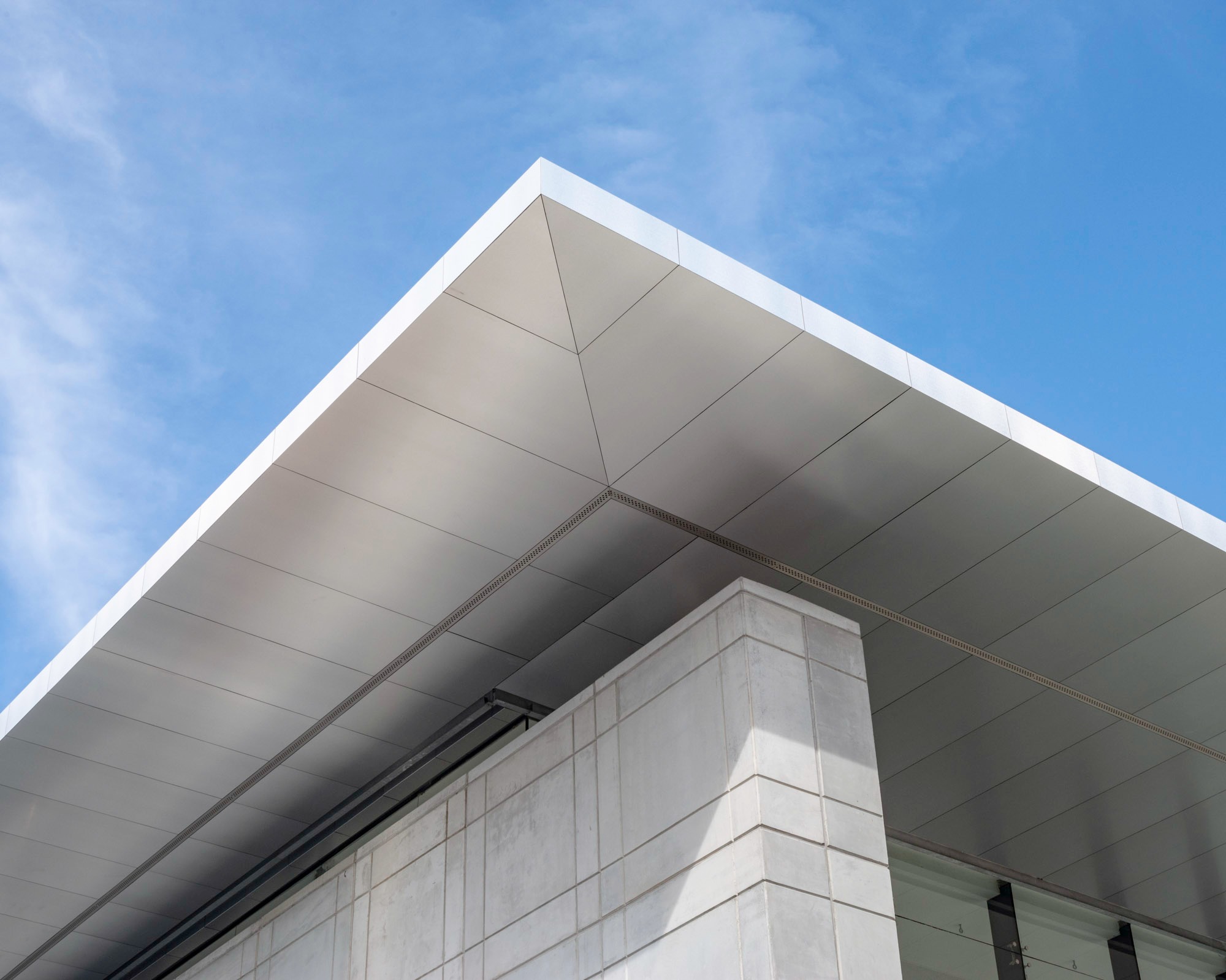 Norval Foundation: The Concrete Pavilion Protecting Cape’s Wild Edge