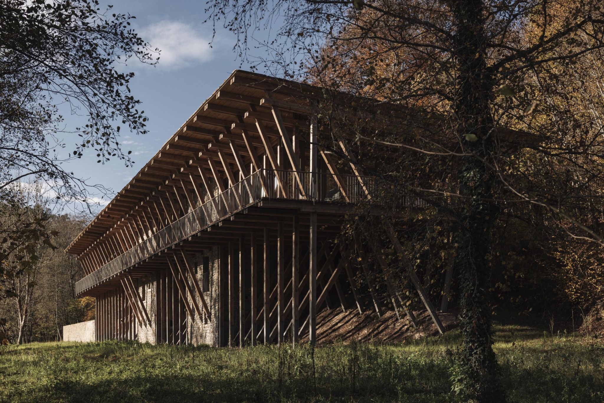 Radical Roots: How BC Architects Built 'Woodstock' from the Soil Up