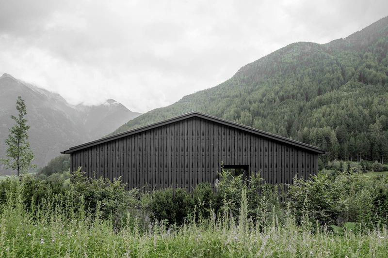 Wood, Stone, and the Alpine Vernacular: A Study of Amonti Chalets