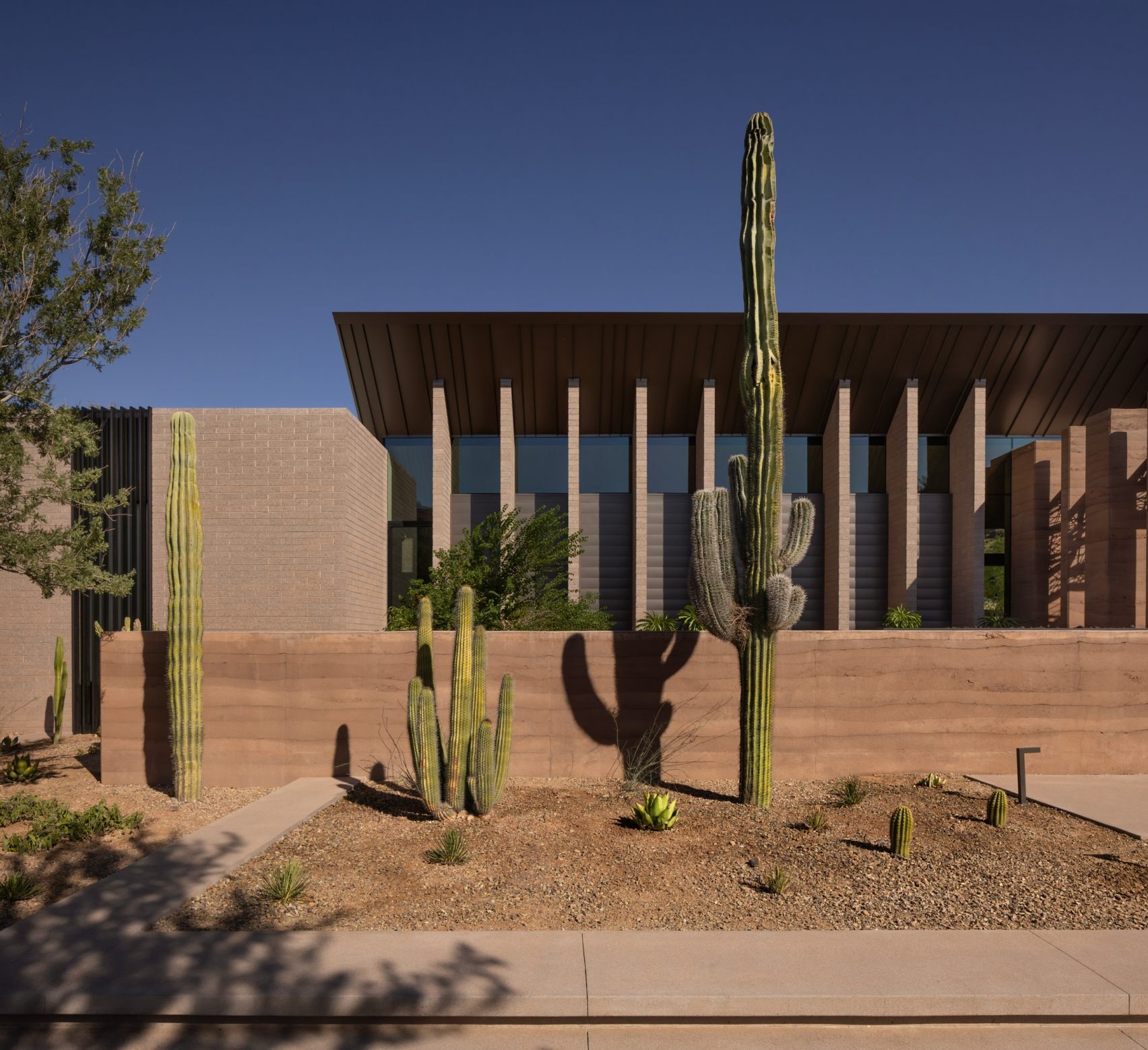 Kendle Design Collaborative Forges a Biomimetic Oasis in the Arizona Heat