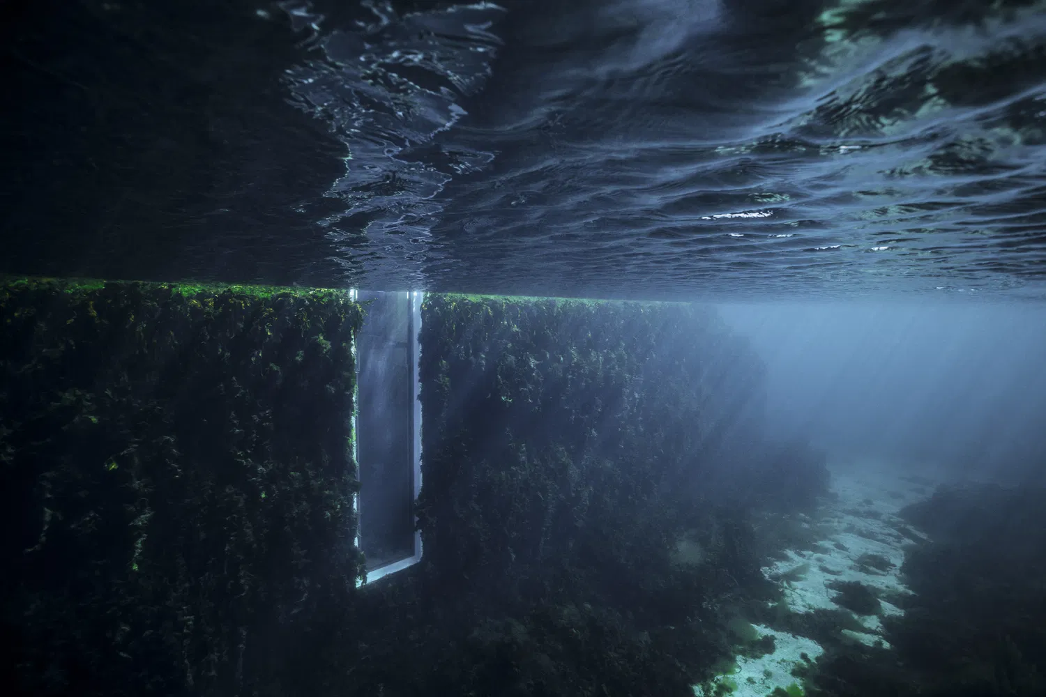Under: Snøhetta's Concrete Monolith Plunges Architecture into the North Sea Deep