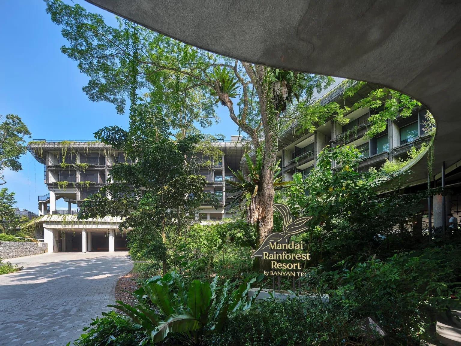 WOW Architects Suspends a Constellation of Timber Shells Above Singapore's Last Wild Edge