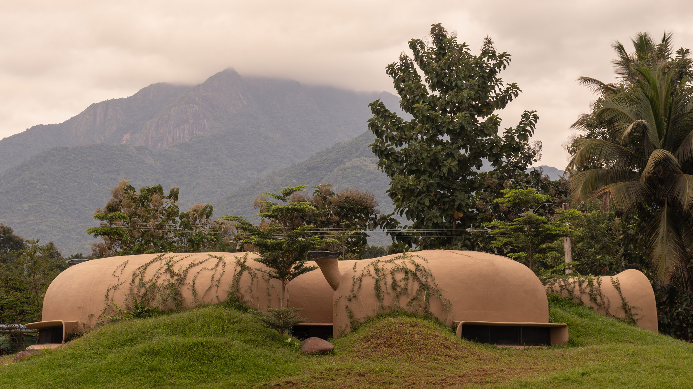 The Wild House by Earthscape Studio: A Living Habitat Carved from Earth and Memory