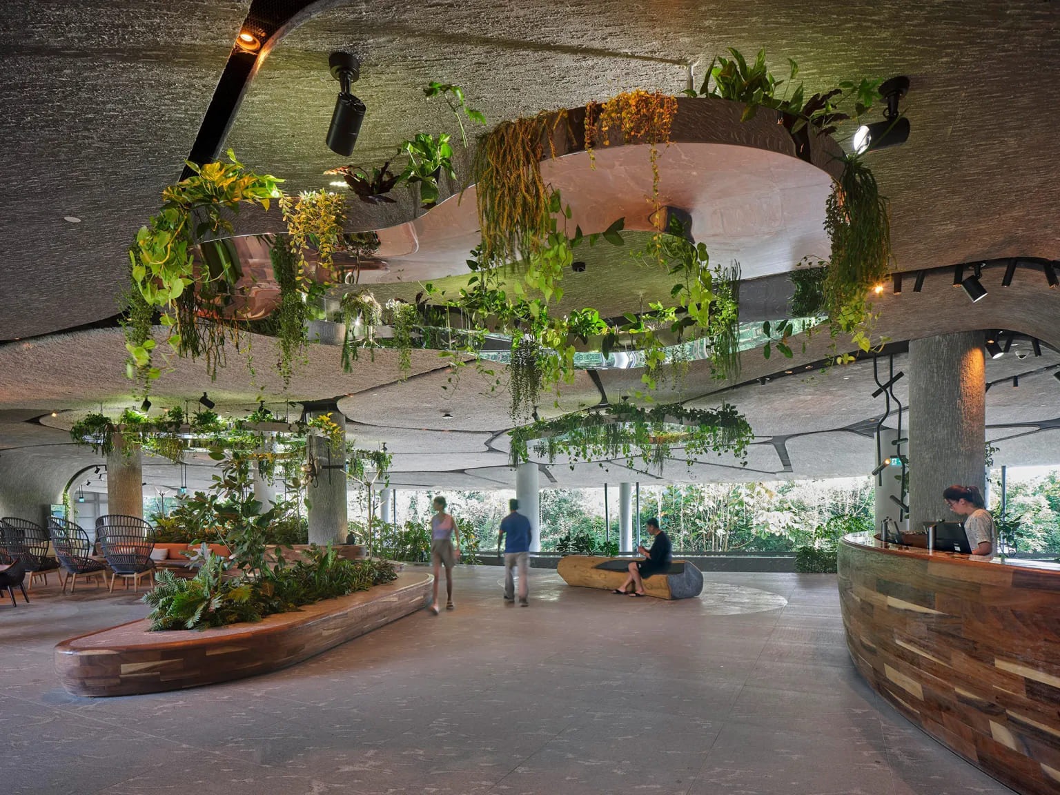 WOW Architects Suspends a Constellation of Timber Shells Above Singapore's Last Wild Edge