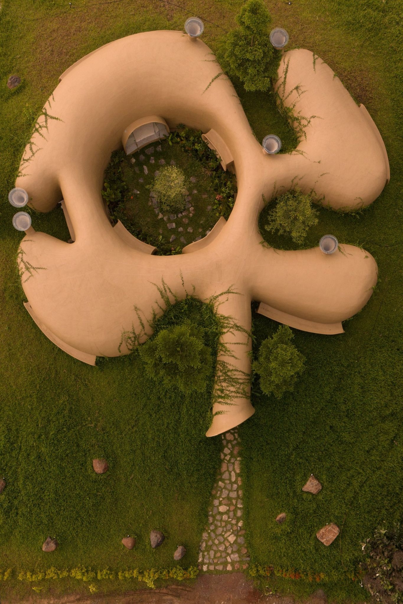 The Wild House by Earthscape Studio: A Living Habitat Carved from Earth and Memory