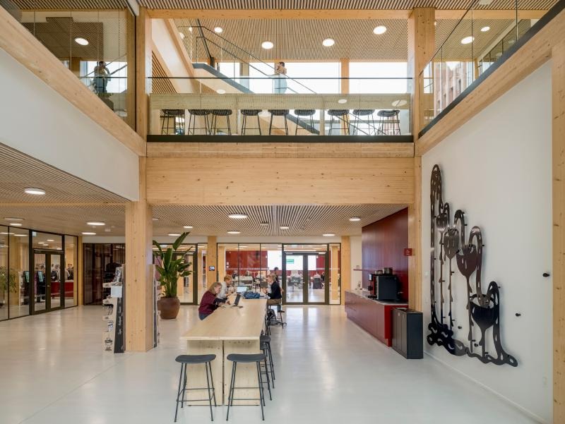 Sylvatic Rationalism: C.F. Møller Architects Plants a Structural Forest in Odense