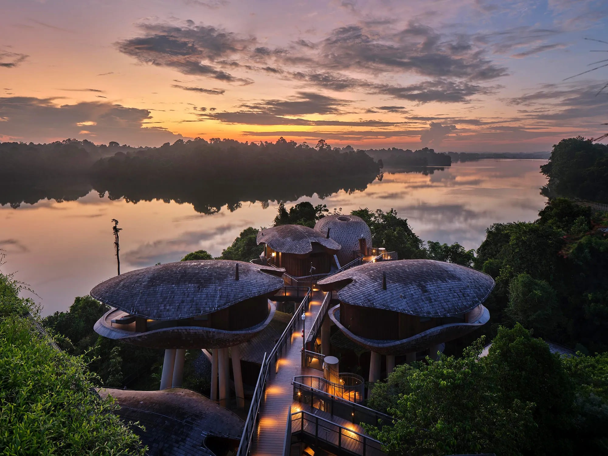 WOW Architects Suspends a Constellation of Timber Shells Above Singapore's Last Wild Edge