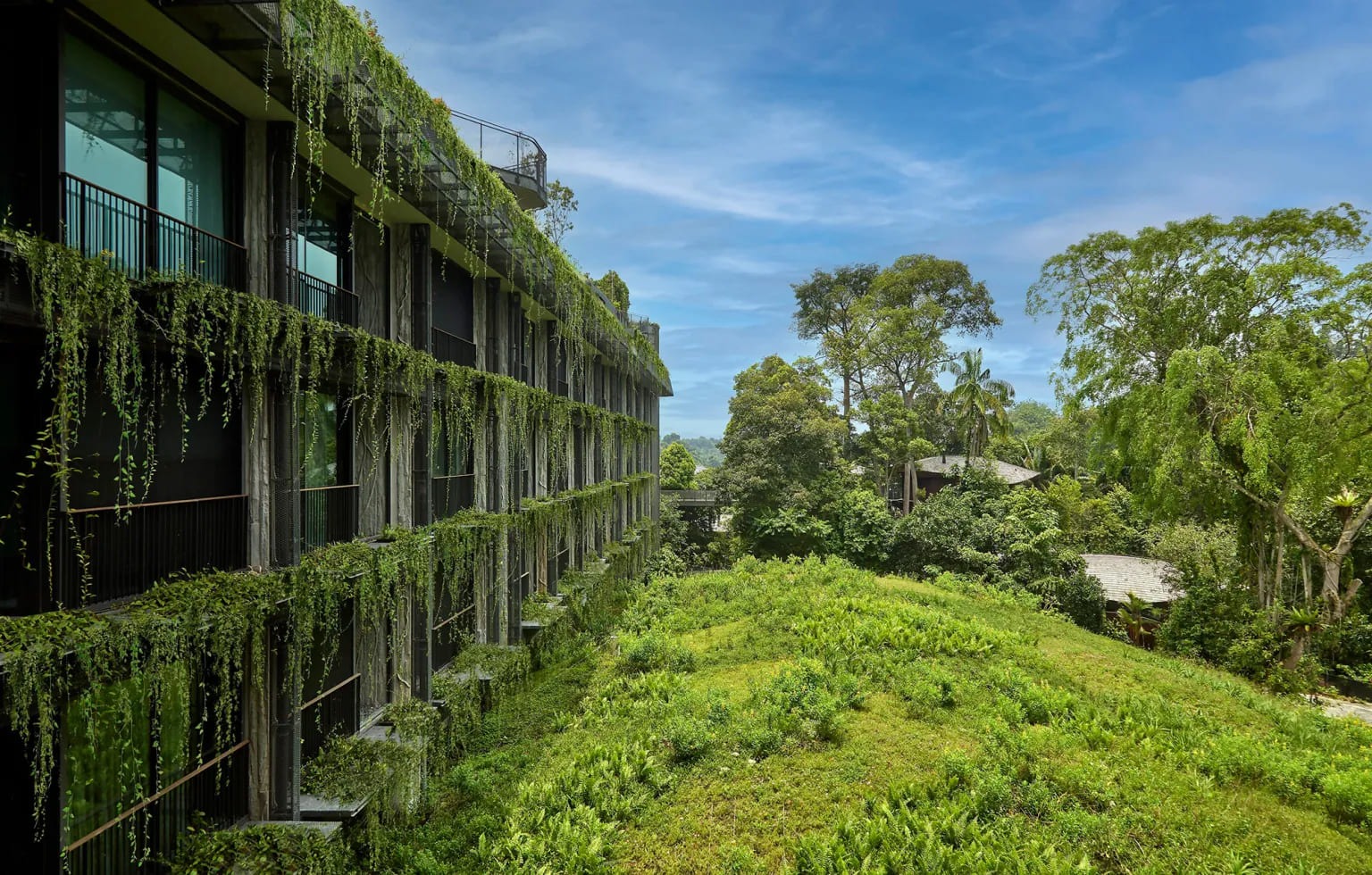 WOW Architects Suspends a Constellation of Timber Shells Above Singapore's Last Wild Edge