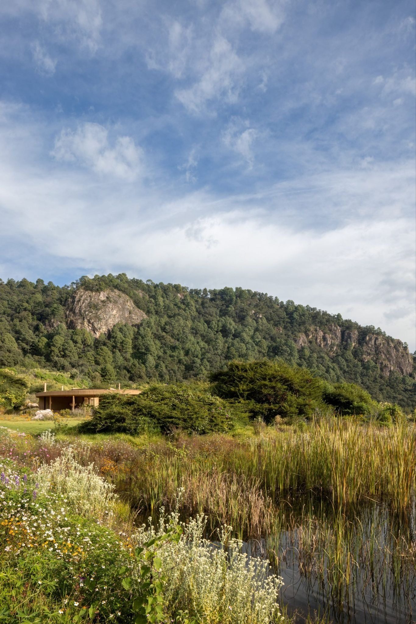 A House that Measures Time: Fernanda Canales’ Solar-Oriented Circle in Mexico