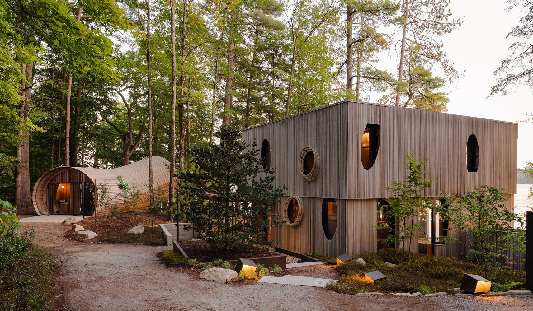 Tree House 31: A Quiet Architectural Dialogue Between Forest, Structure, and Imagination