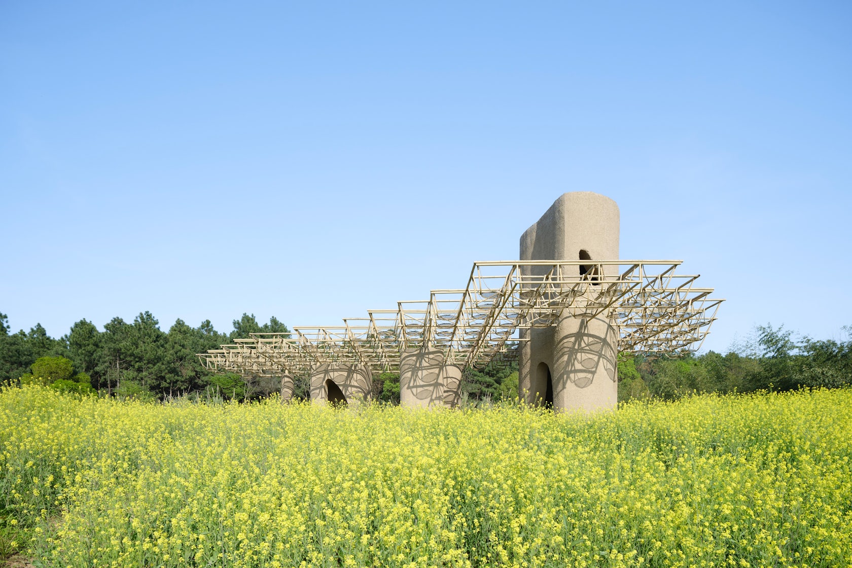 When Wetlands Remember: A Timber Pavilion That Bridges Erosion And Habitat