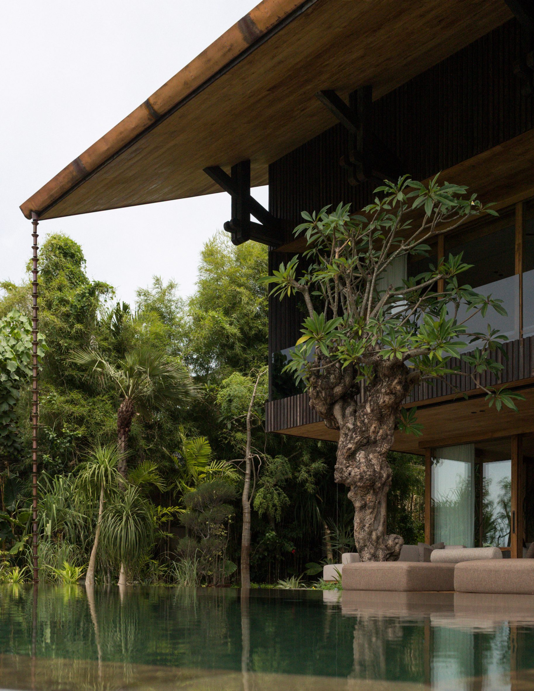 Rooted In The Ridge: How Earth Lines Reimagined The Balinese Hill House