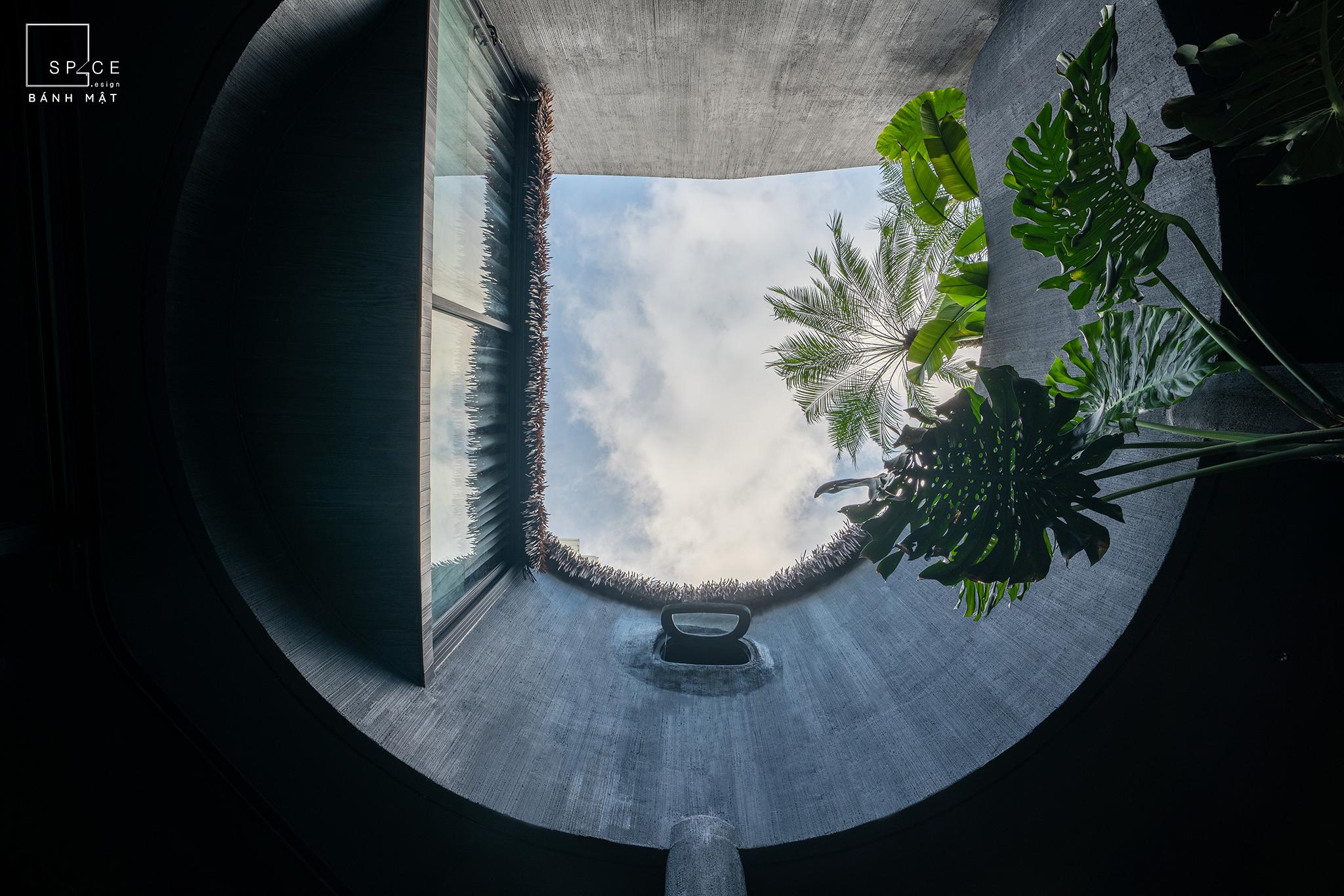 Bánh Mật House: A Courtyard-centered Sanctuary Bringing Nature Back To City Life