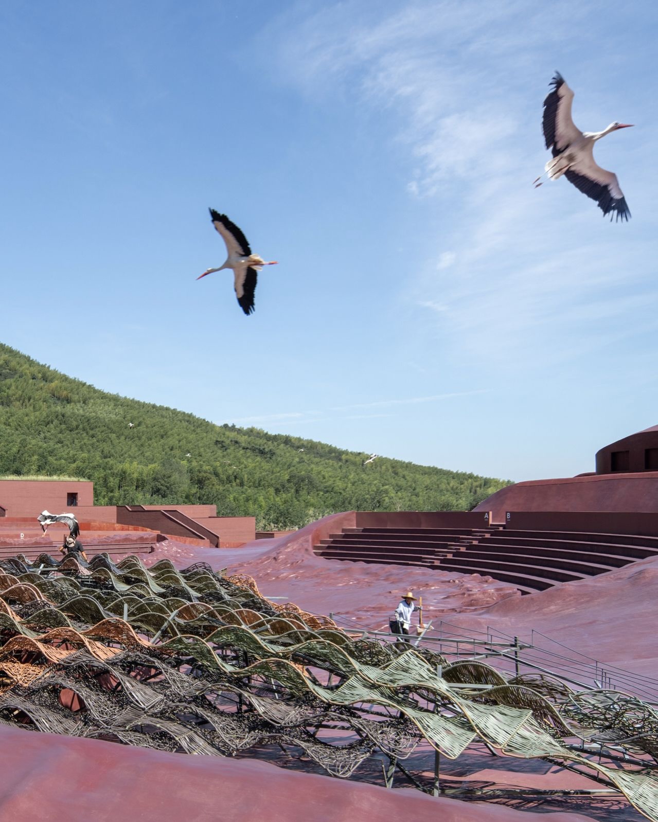 Where Birds And Humans Take the Stage: A New Kind Of Open-air Theater In China