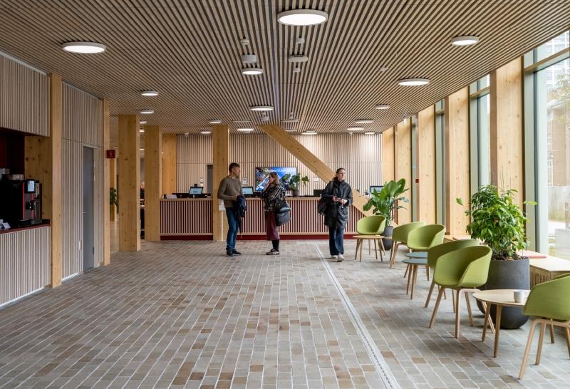 Sylvatic Rationalism: C.F. Møller Architects Plants a Structural Forest in Odense