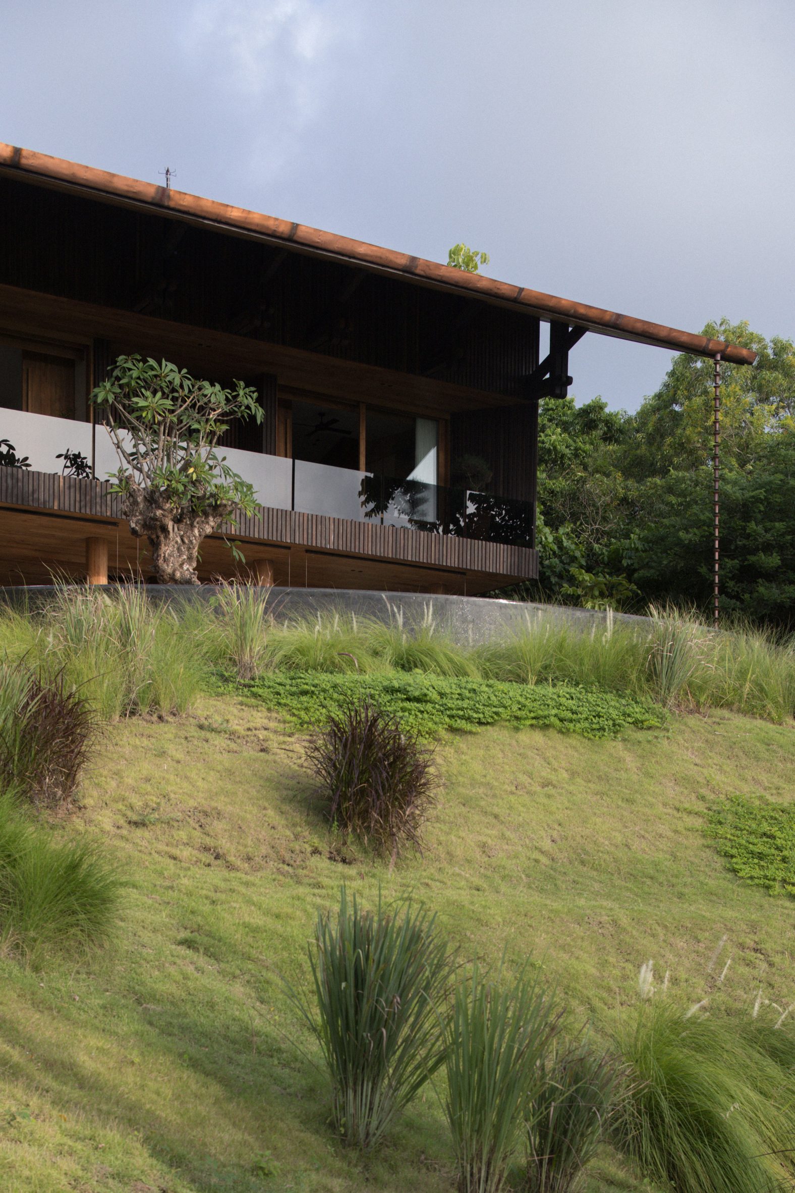 Rooted In The Ridge: How Earth Lines Reimagined The Balinese Hill House