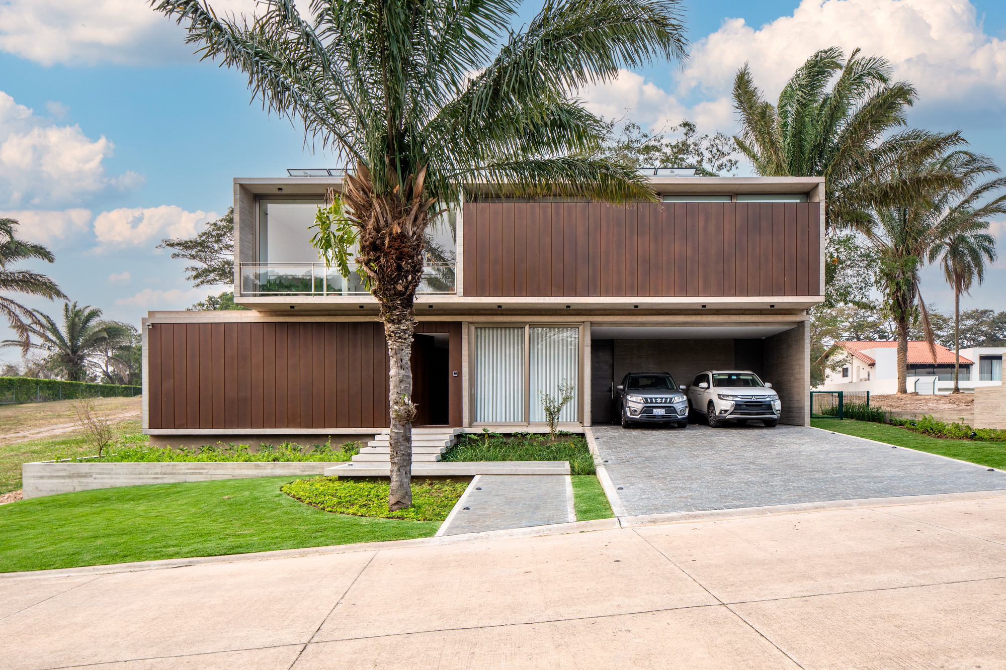 How a Single Tree Shaped the Spatial Logic of a House in Santa Cruz