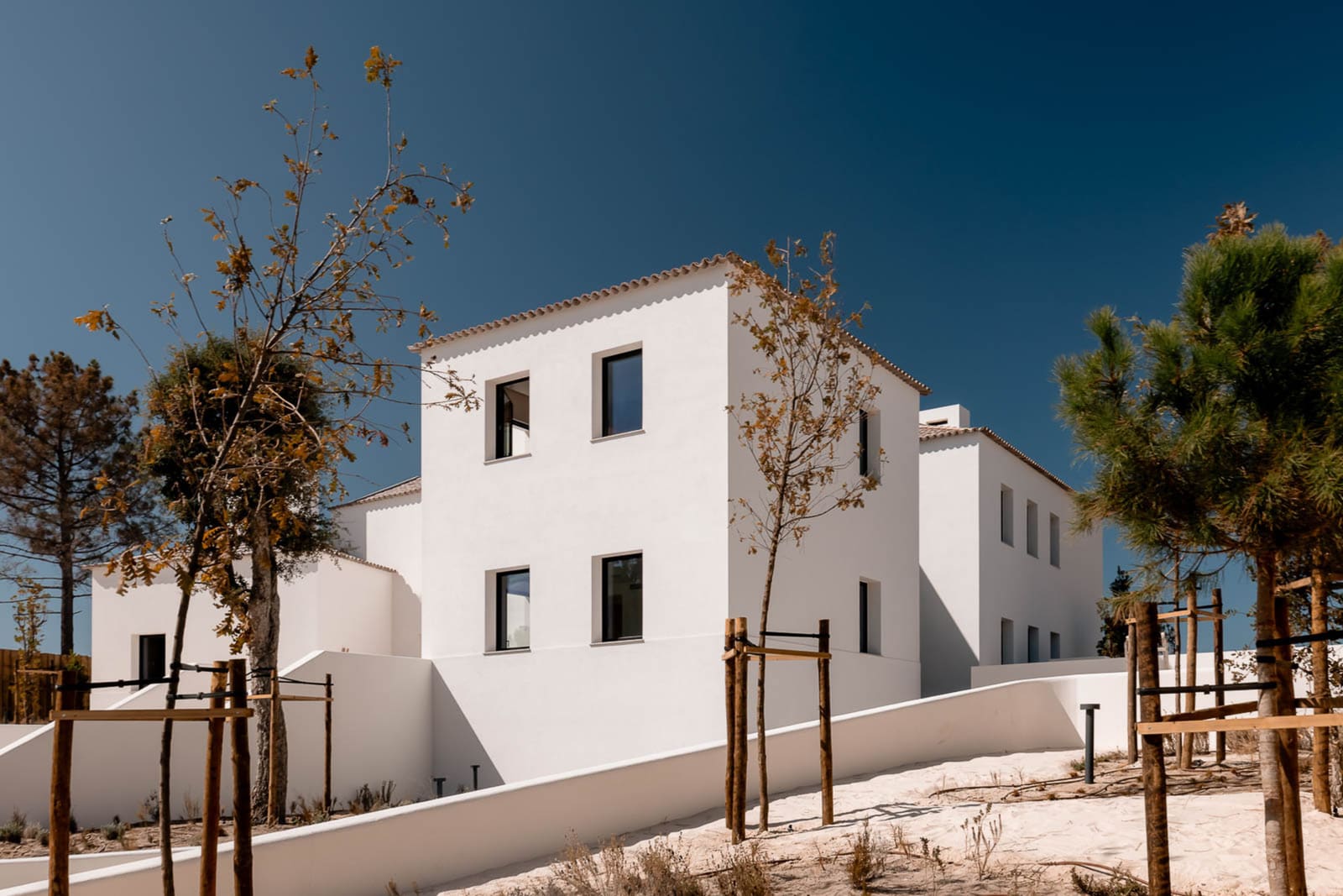 When Architecture Disappears Into Landscape