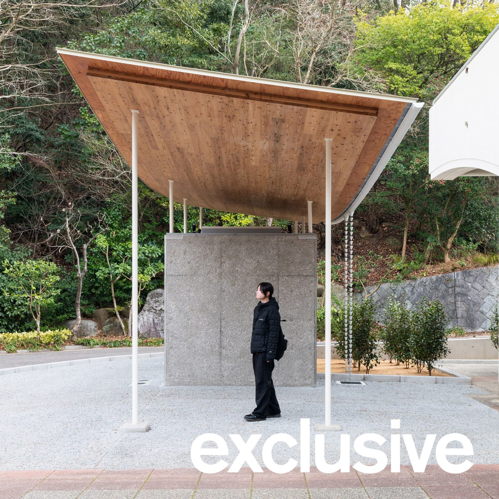 When a Roof Bends by Design: Timber Deflection as Poetic Principle