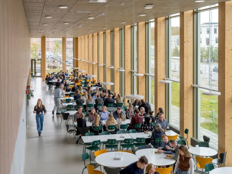 Sylvatic Rationalism: C.F. Møller Architects Plants a Structural Forest in Odense