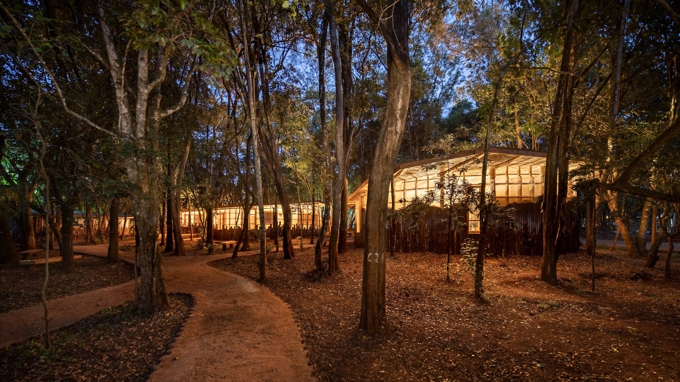 Nairobi Waldorf School by Urko Sánchez Architects: A Forest-Village of Learning Where Nature Takes the Lead
