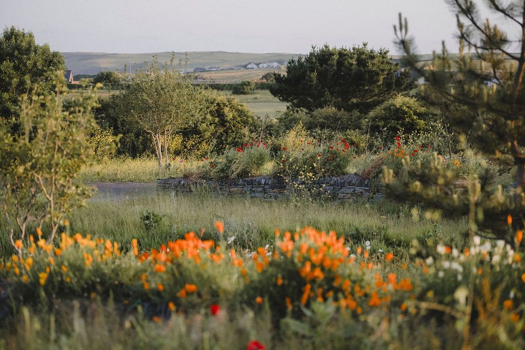 How Stone Walls and Meadow Topography Shape a New Cornwall Retreat