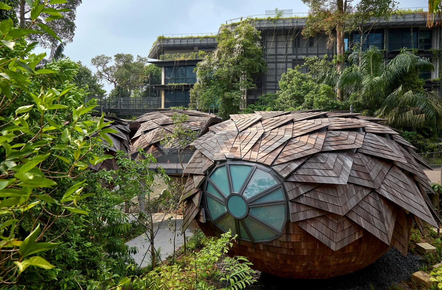 WOW Architects Suspends a Constellation of Timber Shells Above Singapore's Last Wild Edge