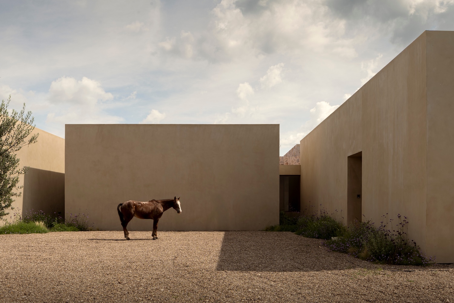 Casa San Francisco: A Quiet Dialogue Between Craft, Light, and Living in San Miguel de Allende