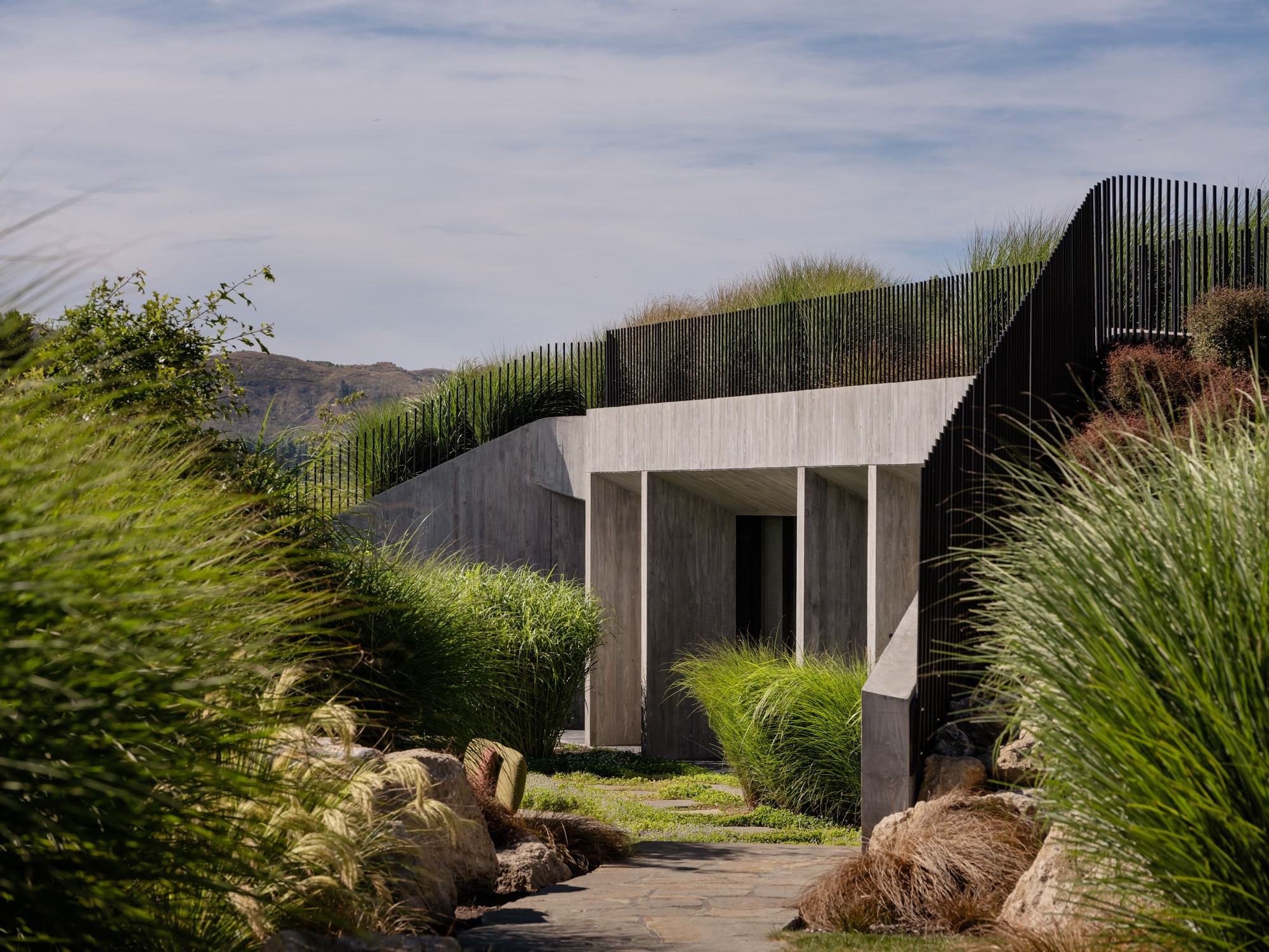 The Sacred Barn: Stevens Lawson Architects Elevates the Agrarian Vernacular at Te Mania