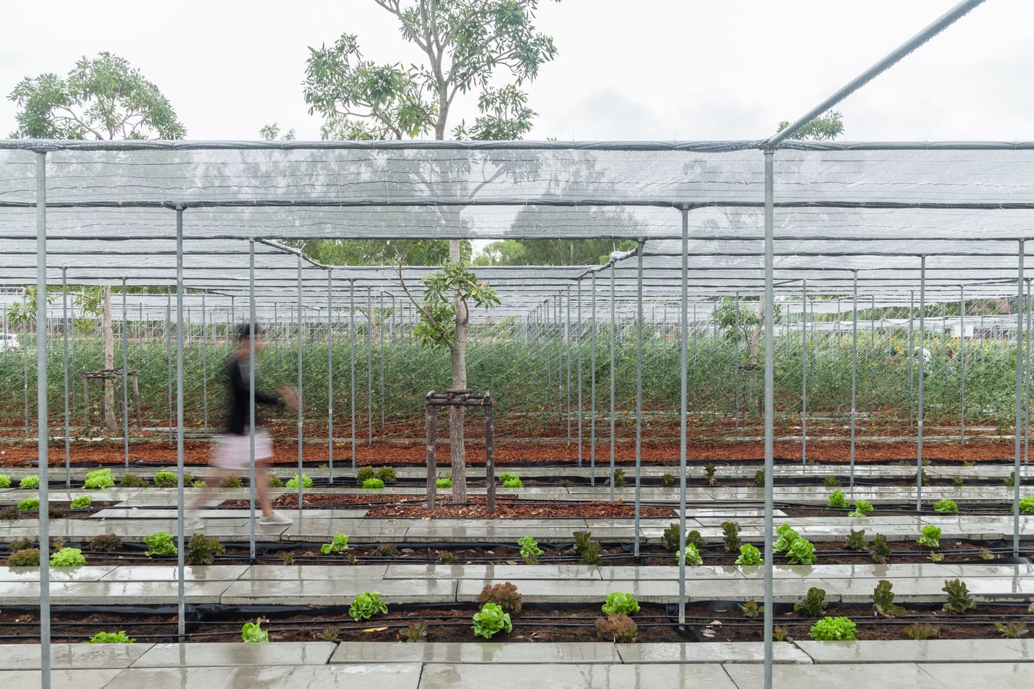 The Spatial Paradox of Agritourism: When Production Meets Hospitality