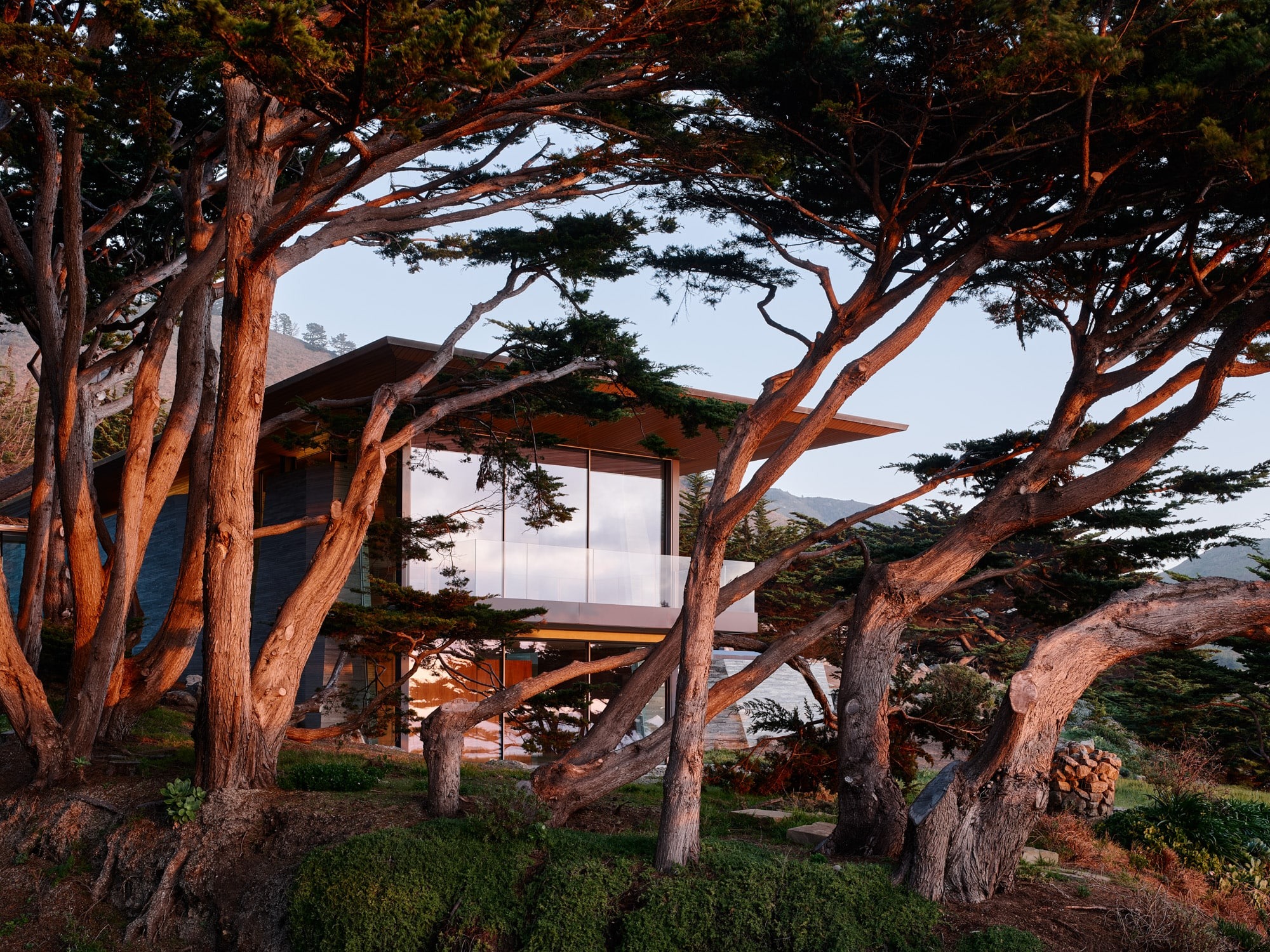 The Silent Sentinel: Field Architecture Weaves a Home Through the Big Sur Redwoods