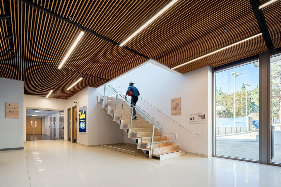 Ostin Basketball Center at UCLA: A Purpose Built Architecture for Focus, Discipline, and Athletic Precision