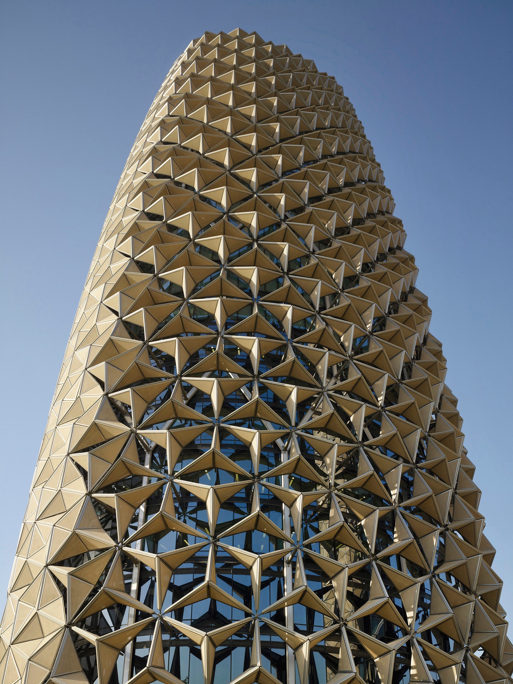 Repeating Motifs: When Pattern Becomes Structure