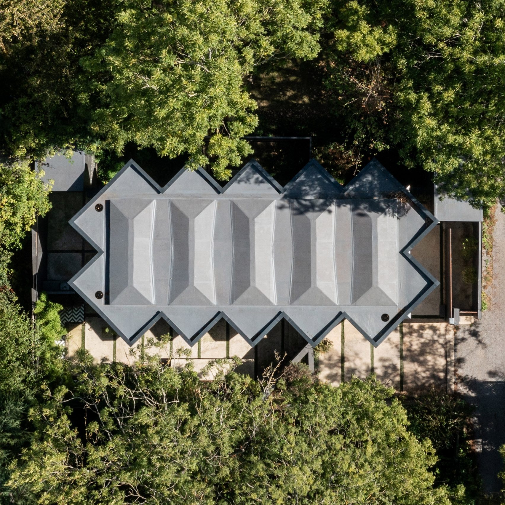 Andrei Saltykov Creates an Urban Forest Within a Slender London Envelope