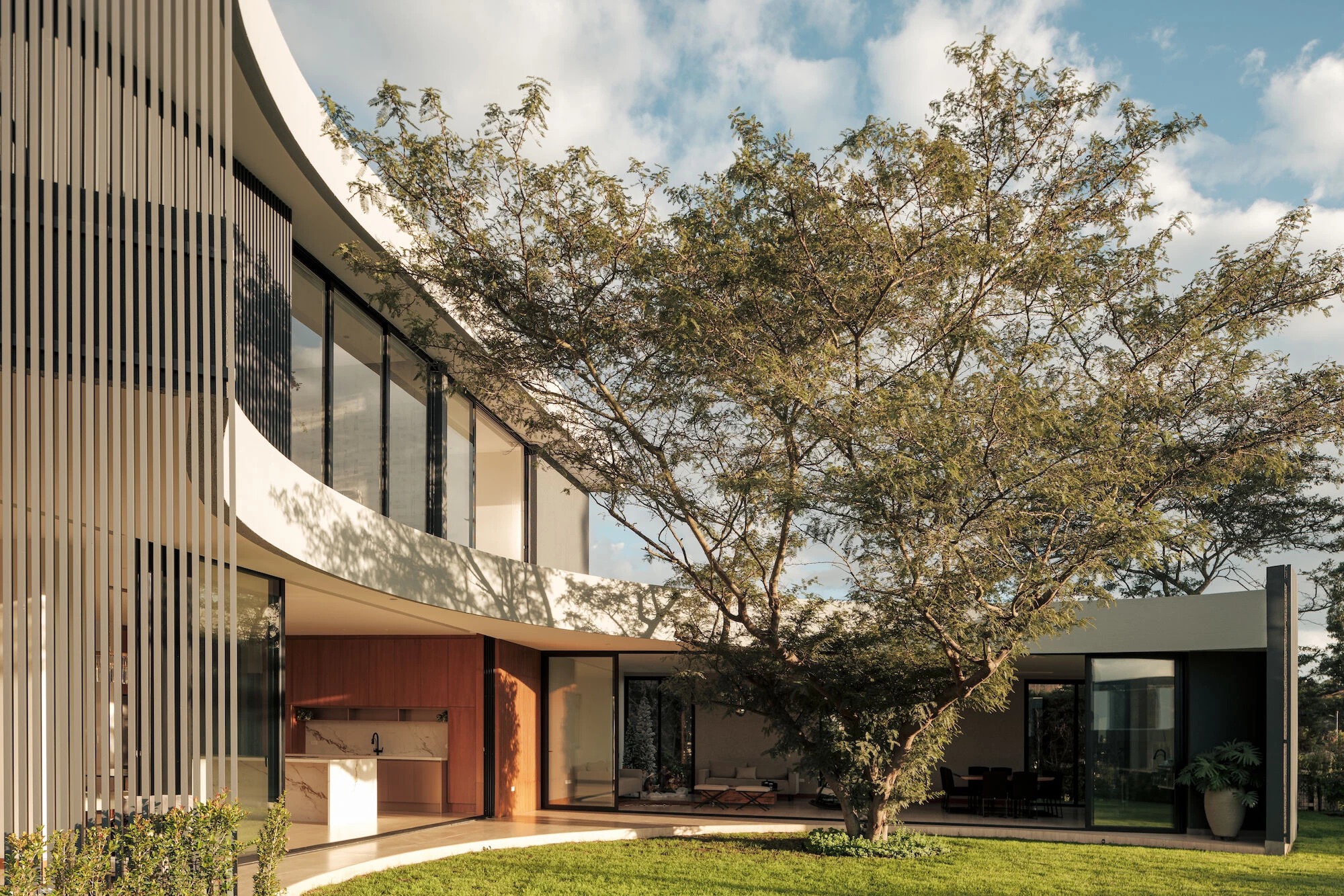 Built from the Inside Out: Casa Riba Uses a Central Tree to Frame the Andean Horizon