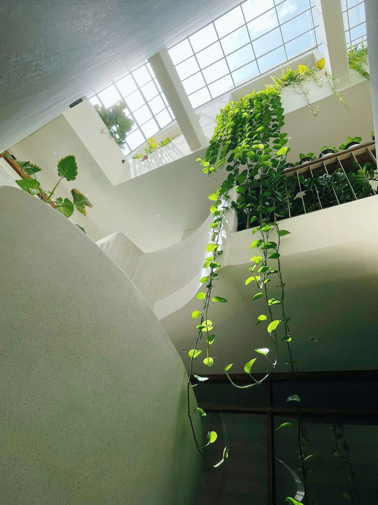 Living With Gaps And Green: Mochi House And The Architecture Of Embraced Imperfection