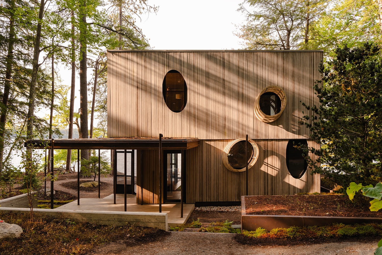Tree House 31: A Quiet Architectural Dialogue Between Forest, Structure, and Imagination