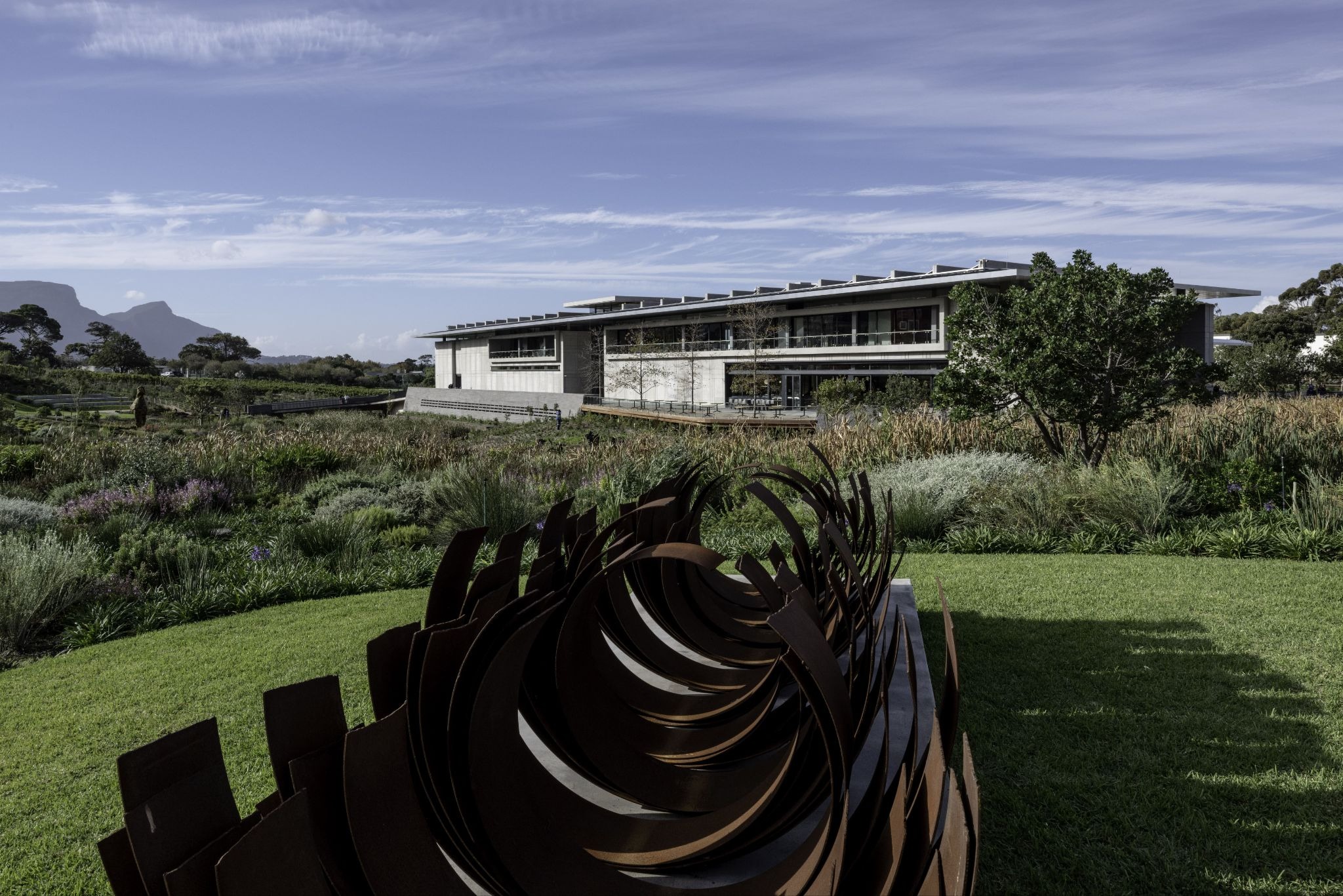 Norval Foundation: The Concrete Pavilion Protecting Cape’s Wild Edge