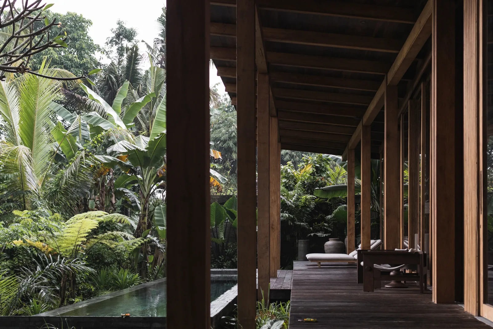 Rumah Harumi: A Grounded Tropical Home Where Architecture Grows from Earth, Light, and Daily Life in Bali