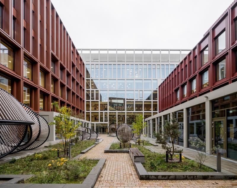 Sylvatic Rationalism: C.F. Møller Architects Plants a Structural Forest in Odense