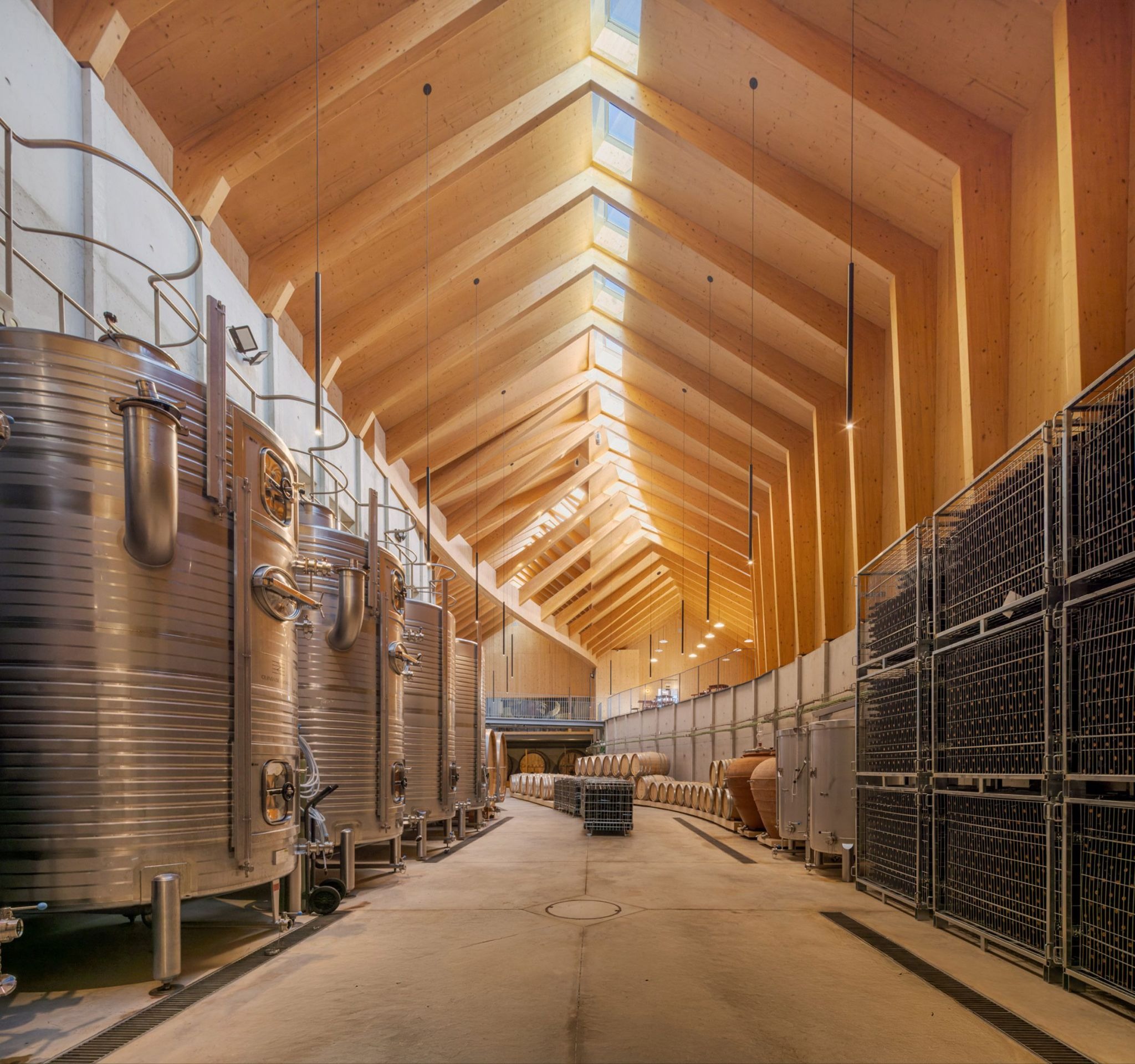Quinta de Adorigo Winery by Atelier Sérgio Rebelo: Terraced Elegance and Vineyards in Motion