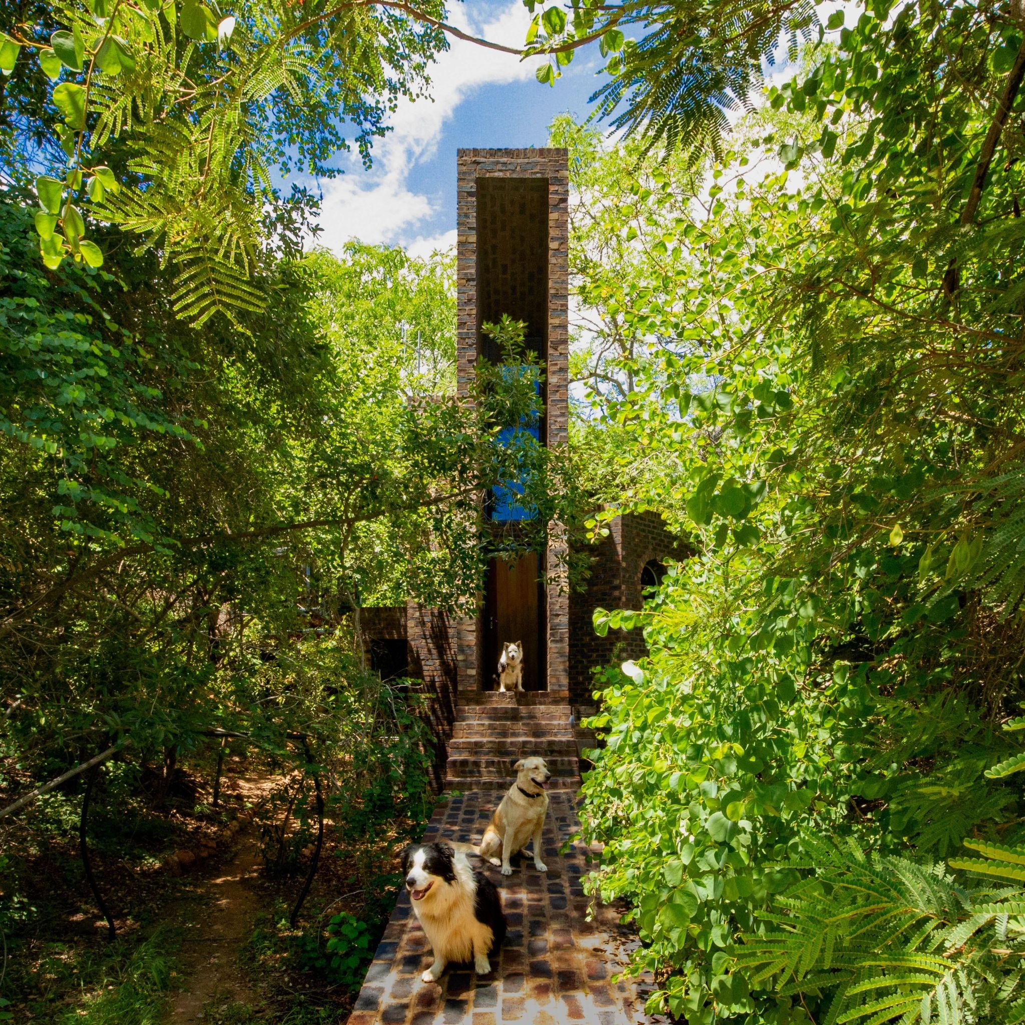 The Arch Bridge: Frankie Pappas' Stealth Architecture in the Waterberg Wilderness
