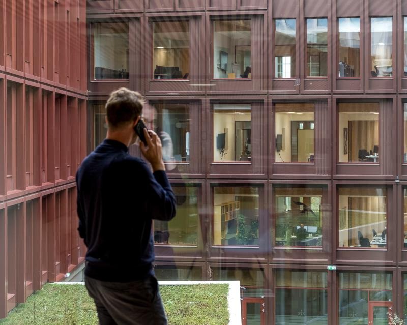Sylvatic Rationalism: C.F. Møller Architects Plants a Structural Forest in Odense