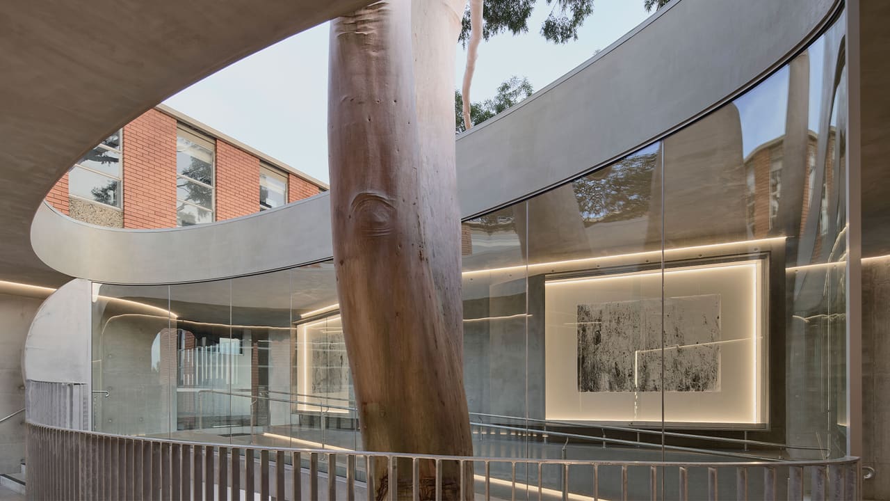 When Architecture Bows to Nature: Designing Around a Gum Tree in Victoria
