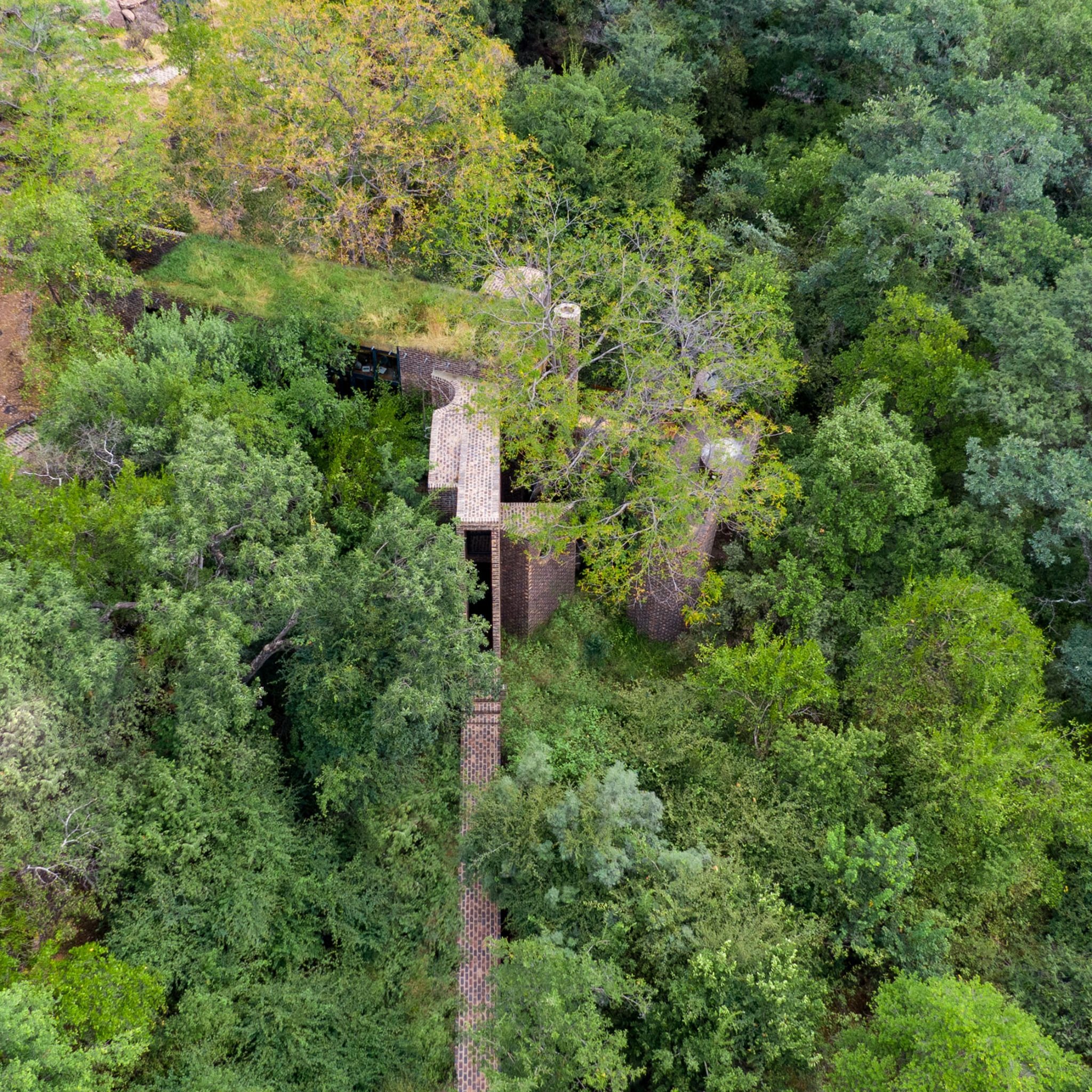 The Arch Bridge: Frankie Pappas' Stealth Architecture in the Waterberg Wilderness