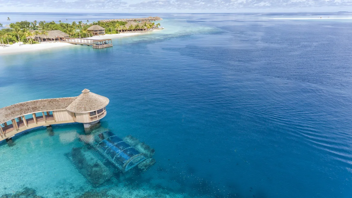 Top Picks - 8 Extraordinary Restaurants That Rewrite The Dining Experience