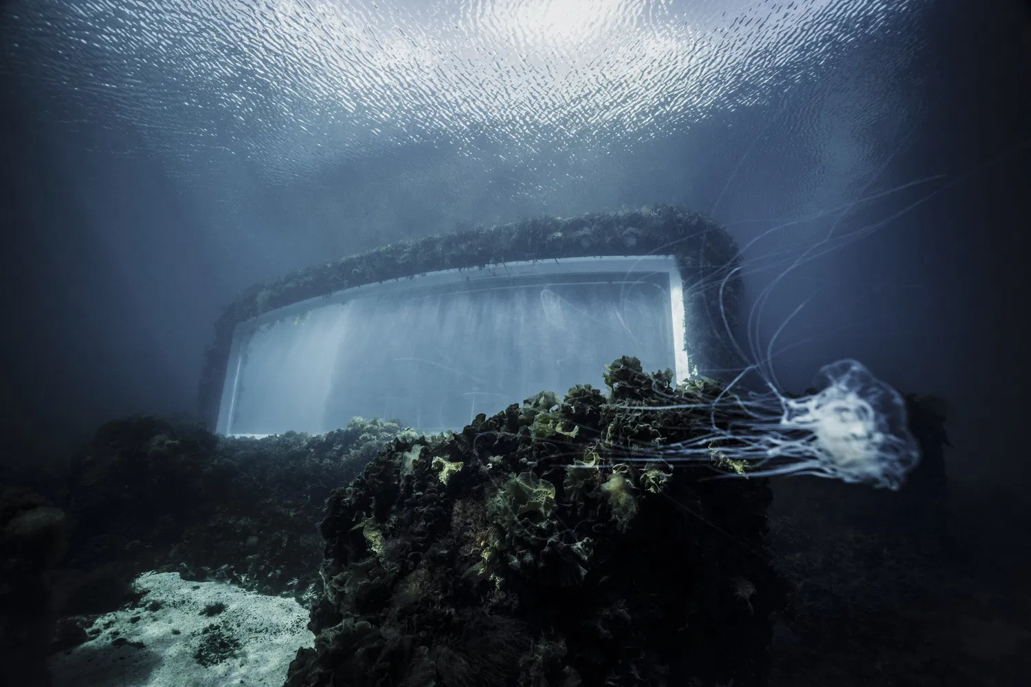 Under: Snøhetta's Concrete Monolith Plunges Architecture into the North Sea Deep